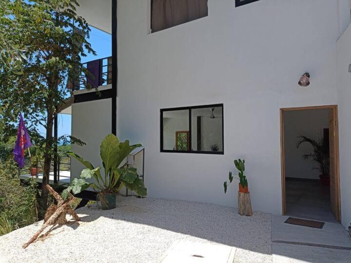 Playa Santa Teresa  Laurel Jungle & Ocean 빌라 외부 사진