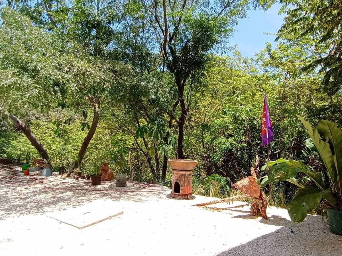 Playa Santa Teresa  Laurel Jungle & Ocean 빌라 외부 사진