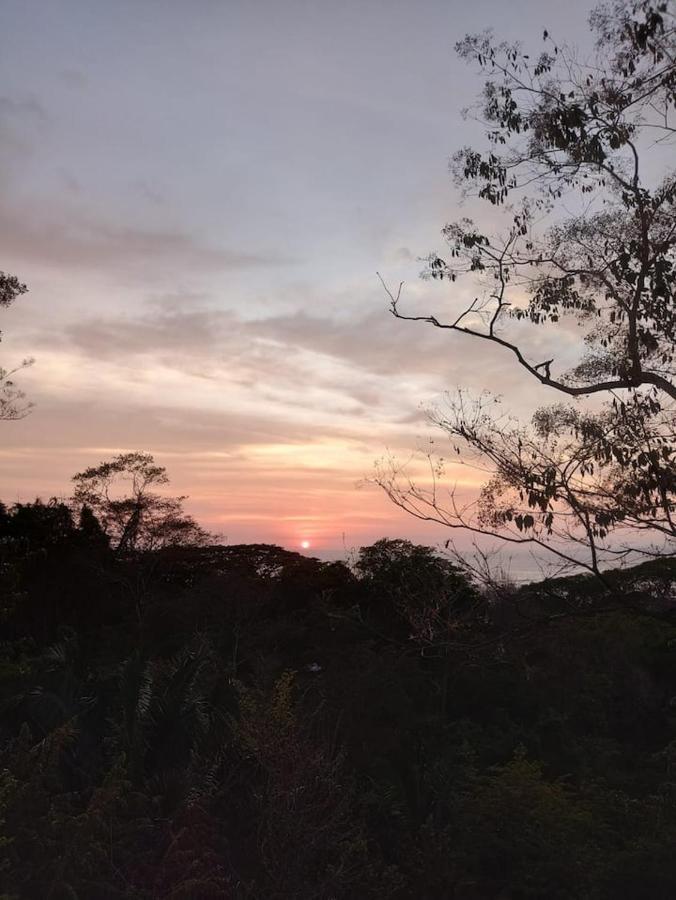 Playa Santa Teresa  Laurel Jungle & Ocean 빌라 외부 사진